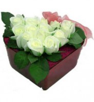 /album/anthurium/kapte-beyaz-guller-jpg/